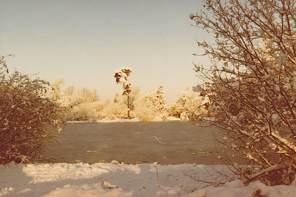Ashtead Park In The Snow