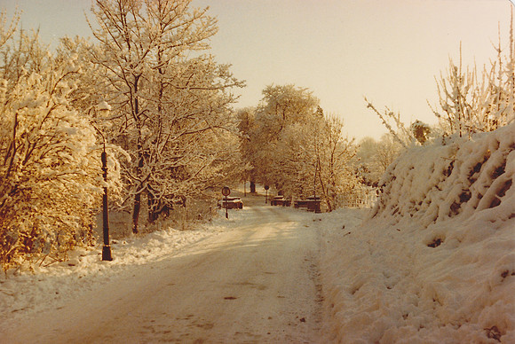 Ashtead Park