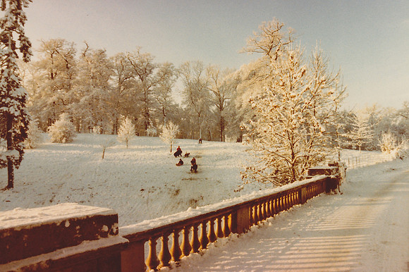 Sledging In Ashtead Park