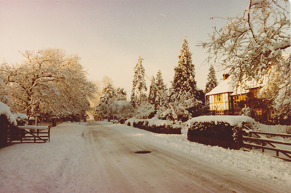 Rookery Hill