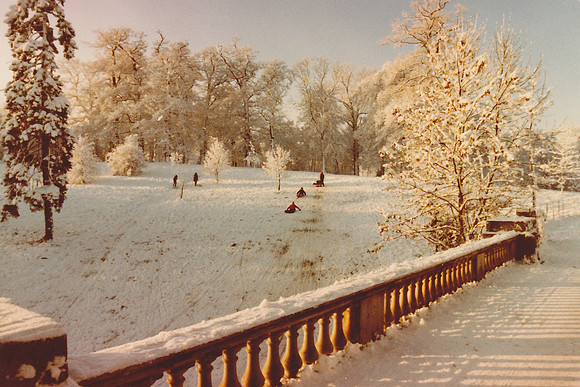 Sledging In Ashtead Park