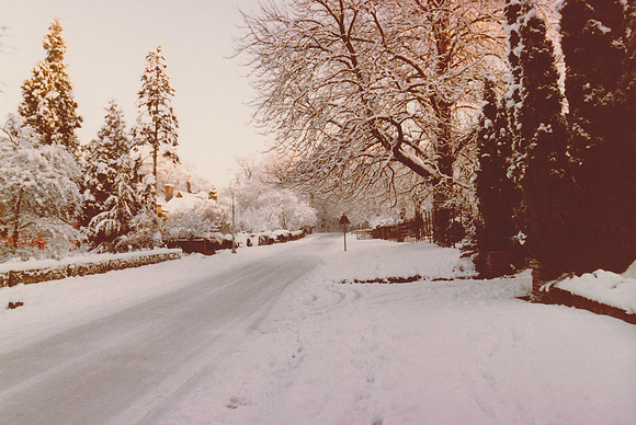 Rookery Hill