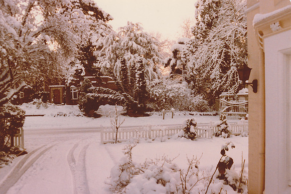 View From West Lodge Ashtead Park