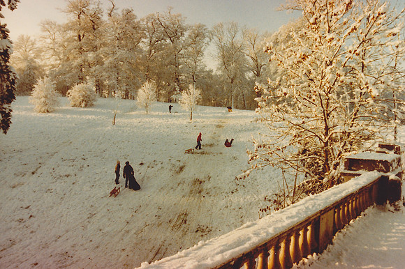 Sledging In Ashtead Park