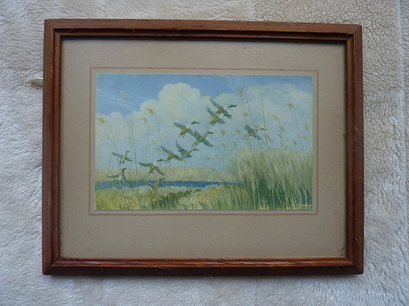 Small Vintage Framed Print Shovellers Taking To Wing By Peter Scott