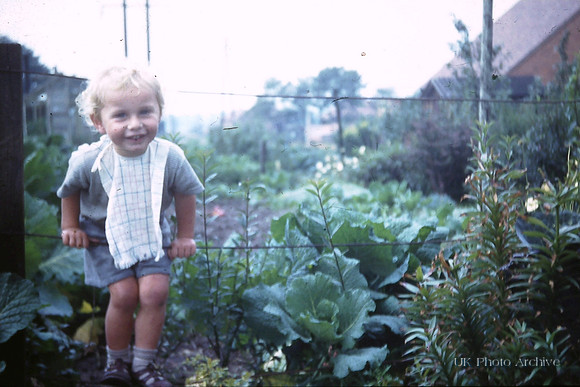 In The Vegetable Patch 1950s