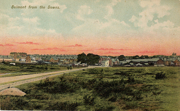 The Downs Belmont Postcard To Miss Carpenter Gas Works Sutton 1906 Sutton Postmark