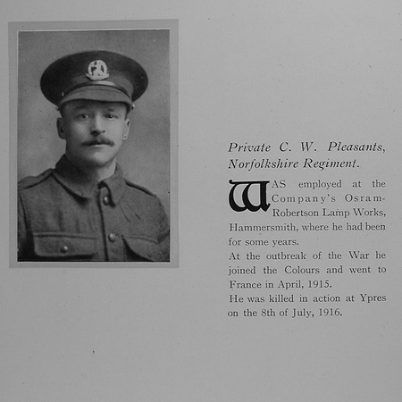 Pleasants C W Pte 16282 Norfolk Regiment