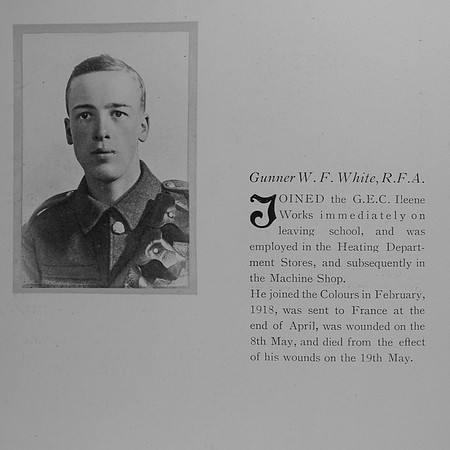White W F Gnr 261513 Royal Field Artillery