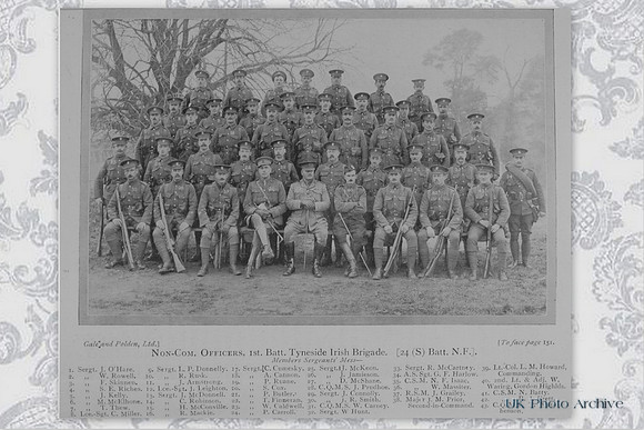 Northumberland Fusiliers 24th Battalion NCOs