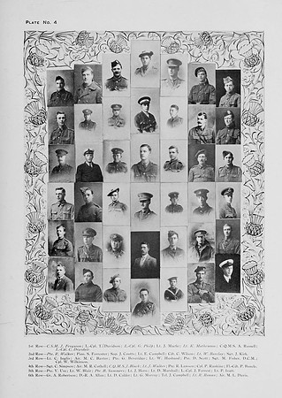 Plate 4