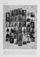 Plate 6