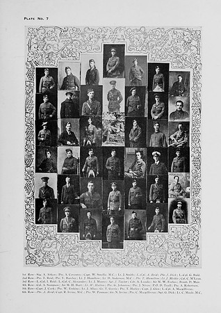 Plate 7