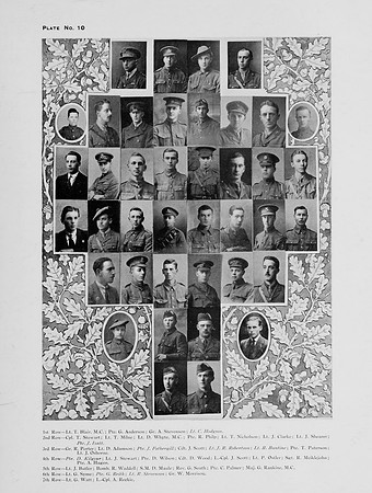 Plate 10