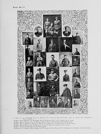Plate 11