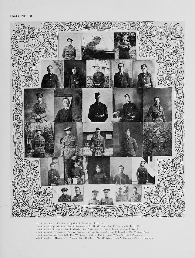 Plate 12