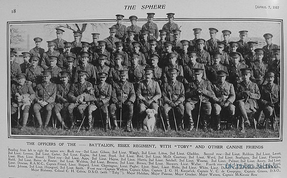 Essex Regiment Officers The Sphere 7th April 1917