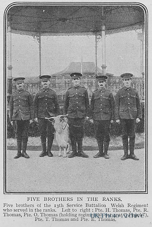Welsh Regiment 13th Battalion Brothers