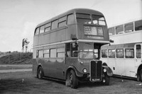 Routemaster Bus RT3733 283 To Kingston NLE 840 1982