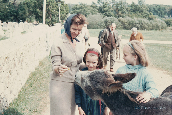 A Donkey Outside Abbey Church Beaulieu 1960s