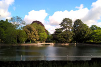 Carshalton Ponds