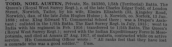 Todd N A Pte 243360 5th Queens Royal West Surrey Regiment Obit De Ruvignys Roll Of Honour Vol 4