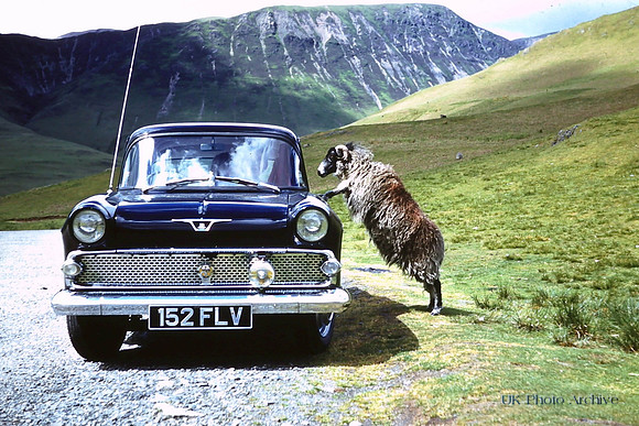 Vauxhall Victor 152 FLV 1959