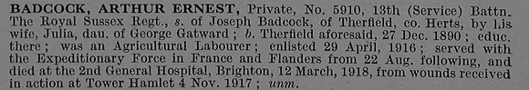 Badcock A E Pte 5910 13th Royal Sussex Regiment Obit