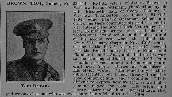 Brown T Gnr 239414 Royal Garrison Artillery Obit
