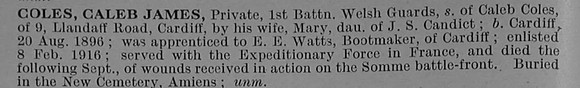 Coles C J Pte 2619 1st Welsh Guards Obit