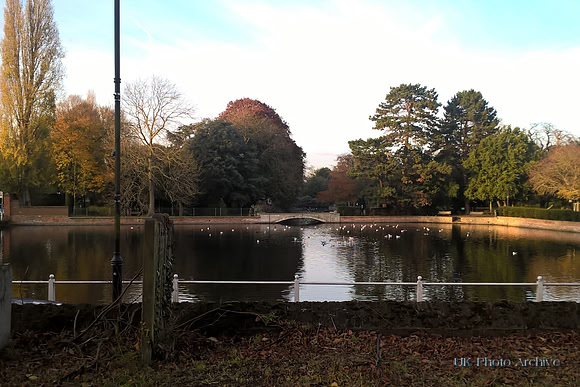 Carshalton Ponds