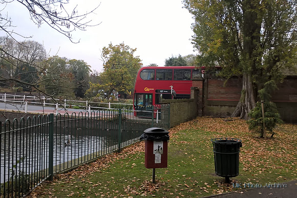 The Carshalton Heron At Grove Park