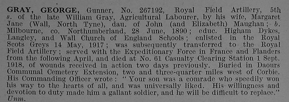 Gray G Gnr 267192 Royal Field Artillery