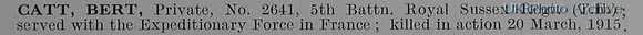 Catt B Pte 2641 5th Royal Sussex Regiment