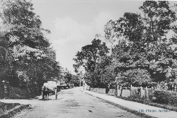 Sutton Common Road c.1900