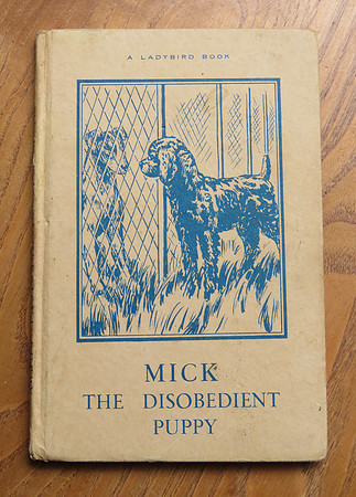 Ladybird Book Mick The Disobedient Puppy