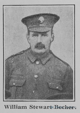Becher W S Pte 2116 24th Royal Fusiliers