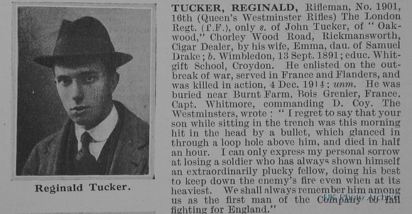 Tucker R Rfn 1901 16th London Regiment Obit