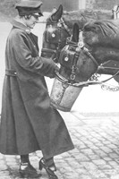 World War One Homefront - Women Workers