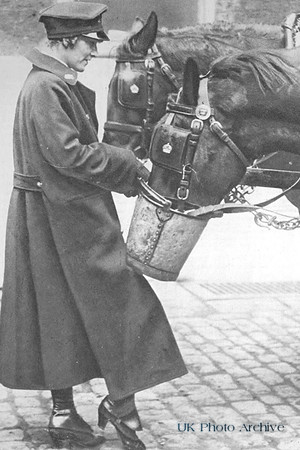 A Woman Mail Van Driver Watering Her Horse