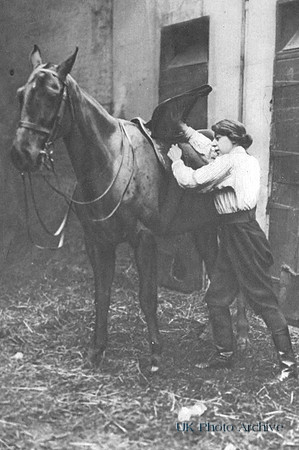 A Women Worker In Charge Of Army Horses