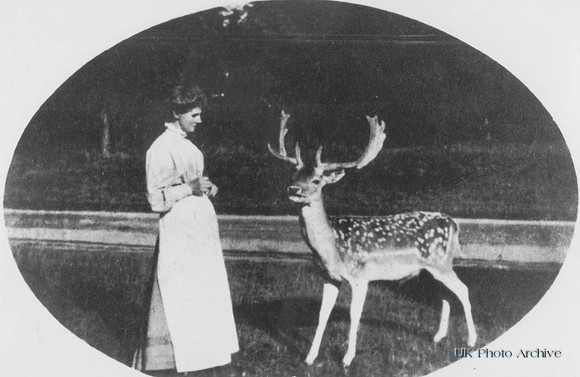 A Domestic Servant In Ashtead Park 1894