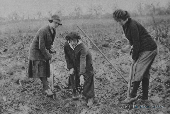 Women Workers In WW1 At A Fruit Farm Letchmore Heath Near St Albans