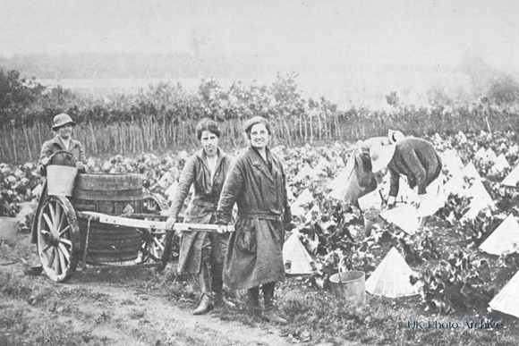 Women Working On The Land At Evesham