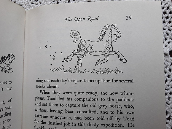 Harper Collins The Wind In The Willows 1994 Edition