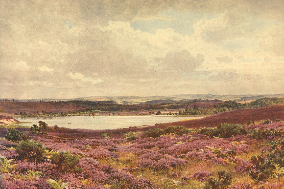 The Great Pond Frensham Surrey 1906