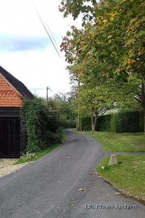 A Lane In Buckland Surrey