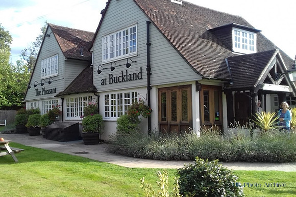 The Pheasant At Buckland