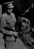 The Newfoundland Regiment Band Celebrating The 420th Anniversary Of Newfoundland With Their Mascot