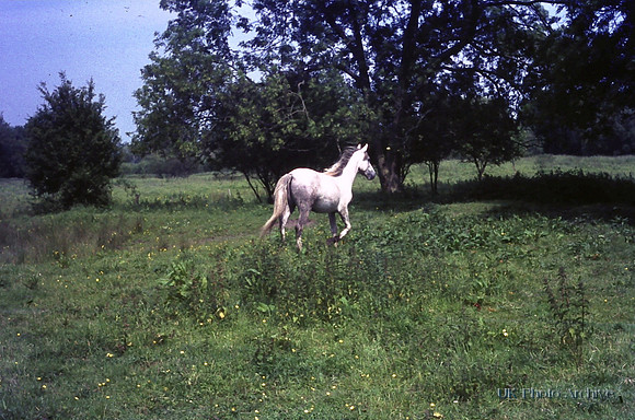 Near Winchester 1972